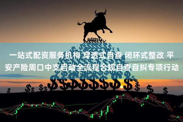 一站式配资服务机构 穿透式自查 闭环式整改 平安产险周口中支启动全流程合规自查自纠专项行动