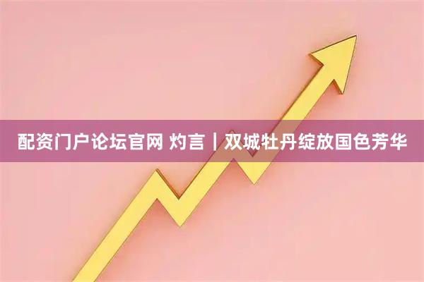 配资门户论坛官网 灼言｜双城牡丹绽放国色芳华
